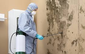 Best Forensic Mold Investigation  in South Burlington, VT